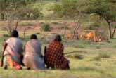 3 Men vs. 15 Lions