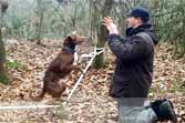 Amazing Acrobatic Dog - Slackline