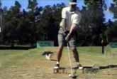 Best Golf Bloopers