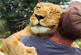 Big And Small Animals Snuggle Up To People