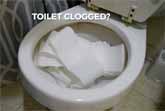 Easy Way To Unclog A Toilet