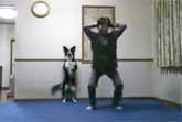 Exercise Your Dog