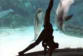 Girl Makes Dolphin Laugh