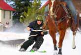 Horse-Drawn Skiing Was Almost an Olympic Sport