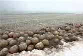 Ice Balls In Lake Michigan