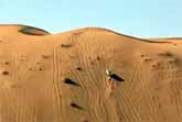 Racing Up A Sand Dune In A Toyota Truck