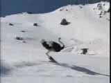 Skiing Ostrich