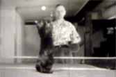 World's Best Four-Legged Ping-Pong Player